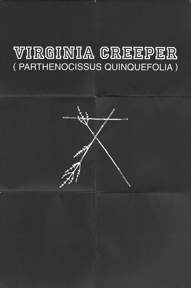 Raf Simons: A/W 2002 'Virginia Creeper' Catalog, 2002 | Fashion