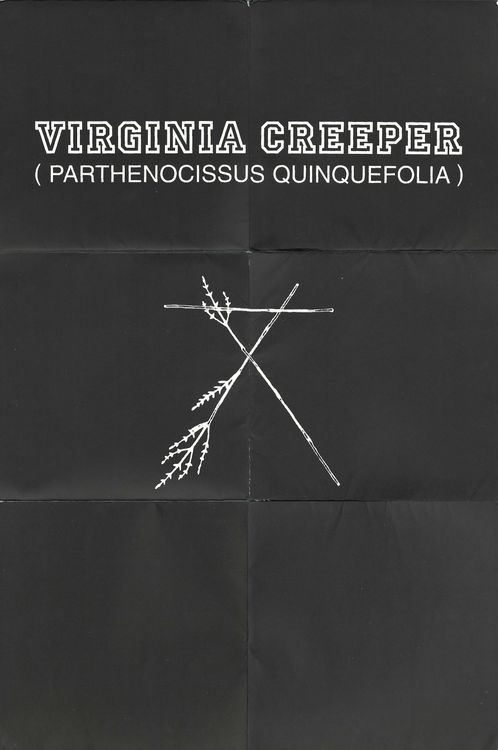 Raf Simons: A/W 2002 'Virginia Creeper' Catalog, 2002 | Fashion